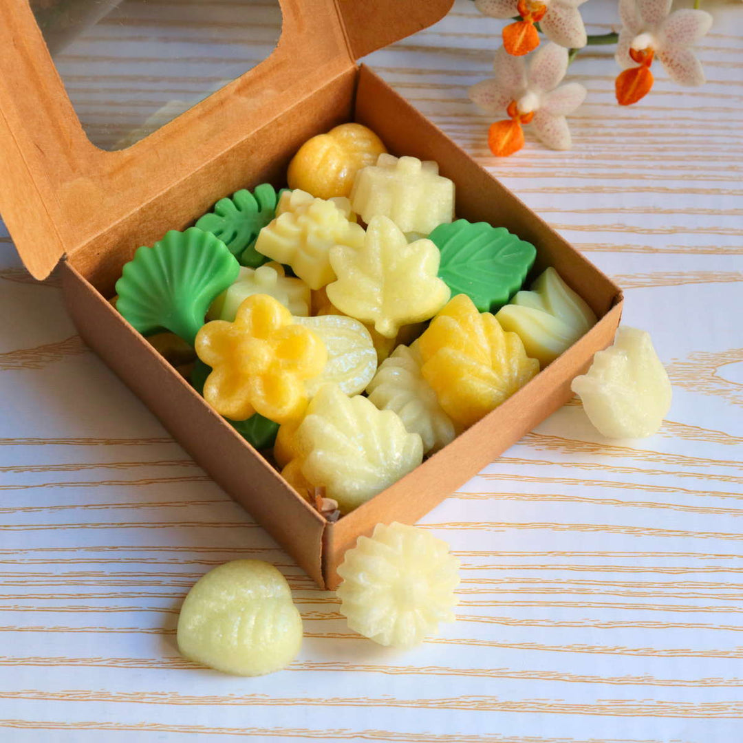 Frangipani | Natural Wax Melts