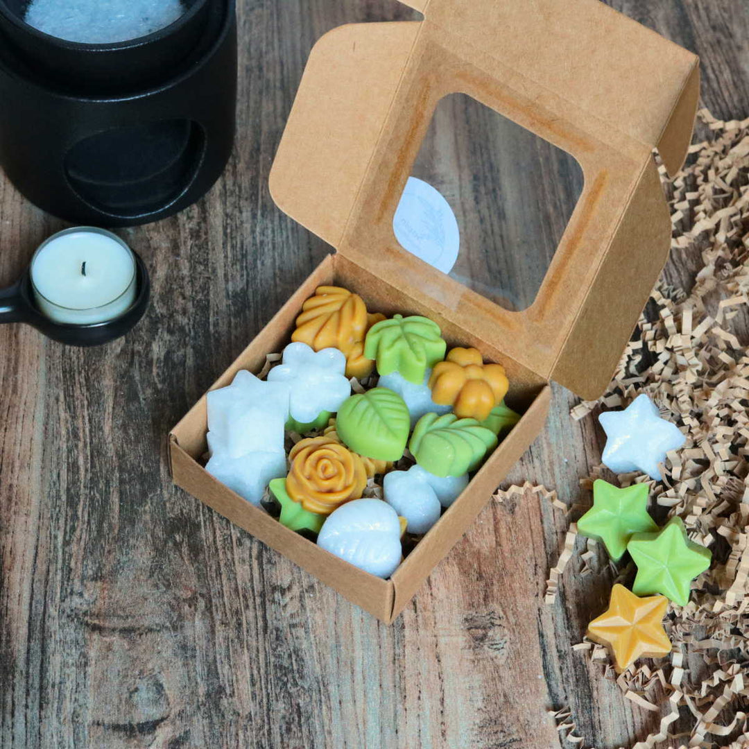 Sapin | Fondants de Cire Végétale