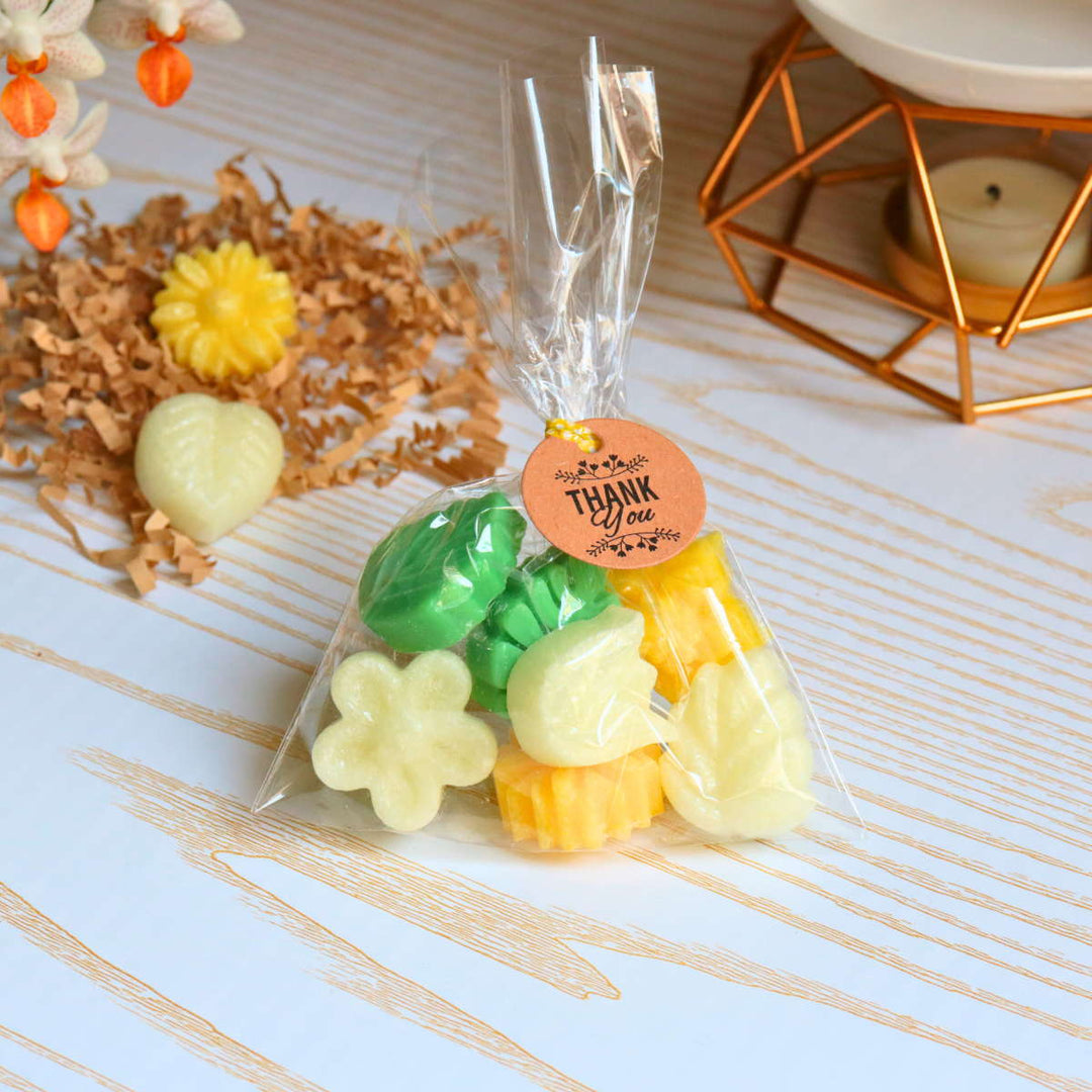 Frangipanier mini | Fondants de Cire Végétale