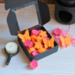 Load image into Gallery viewer, Hibiscus Summer Punch | Natural Wax Melts
