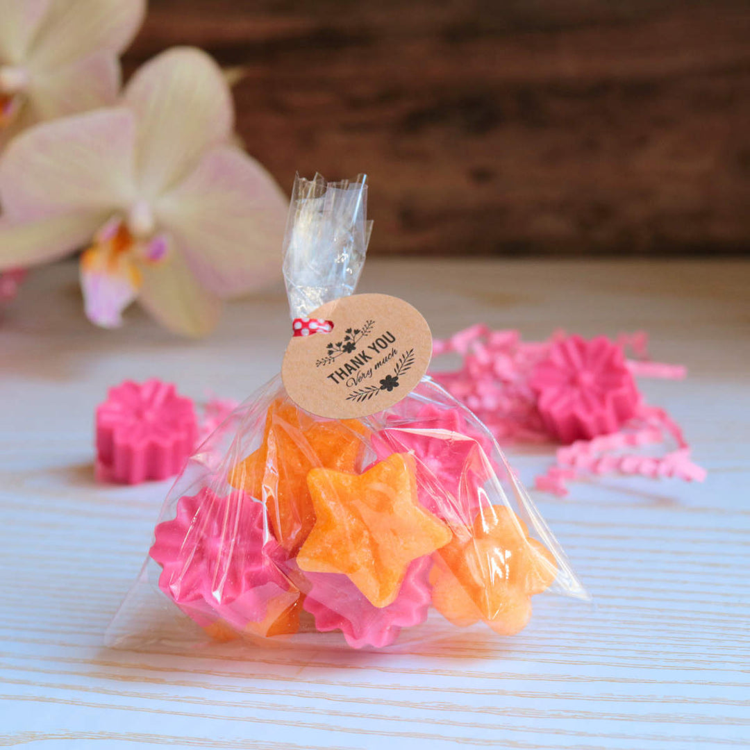 Hibiscus Summer Punch mini | Natural Wax Melts