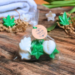 Load image into Gallery viewer, Aloe Vera mini | Fondants de Cire Végétale