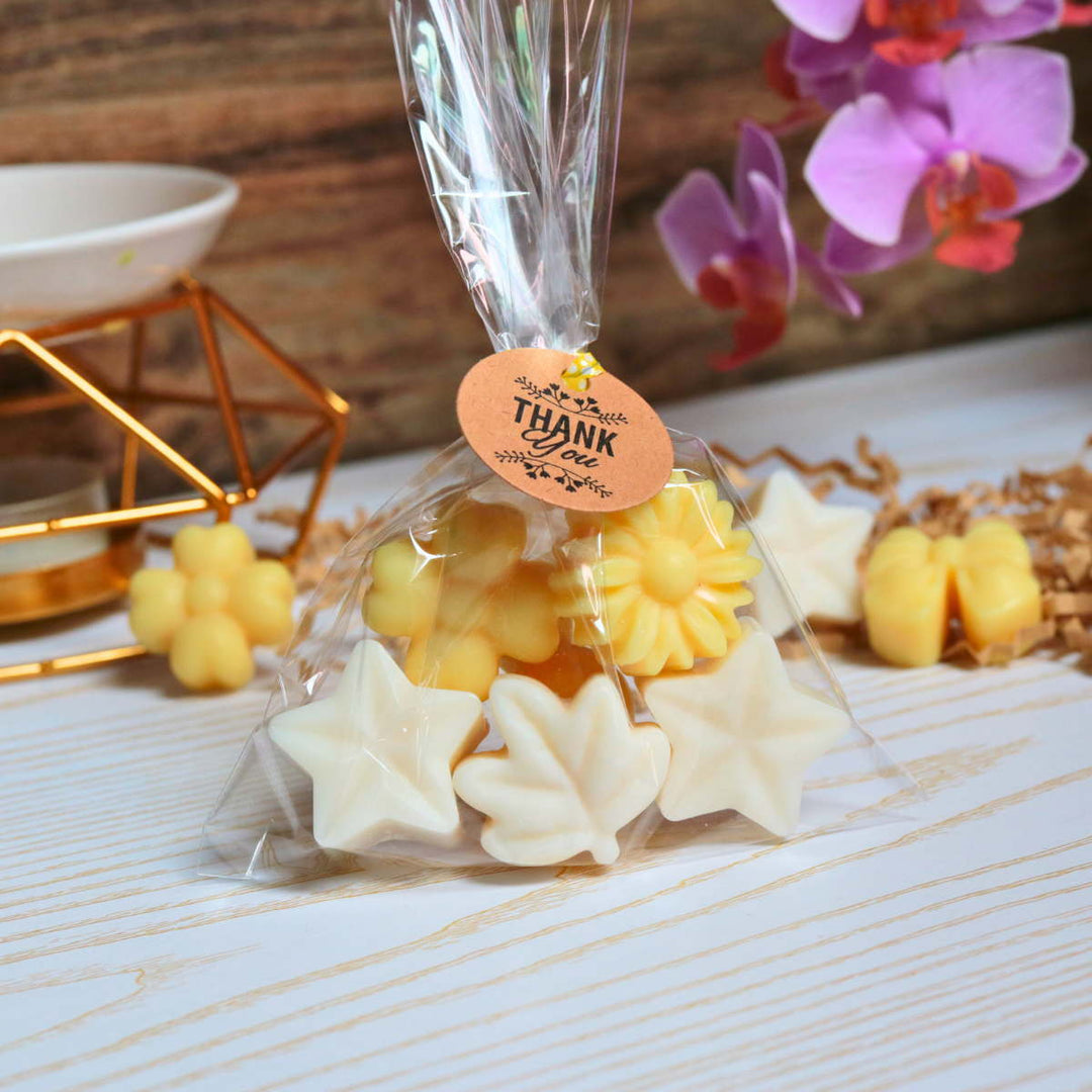 Vanille mini | Fondants de Cire Végétale